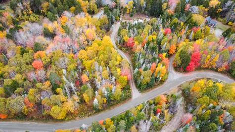 LOT#1 Sunrise Way Whiting ME 04691