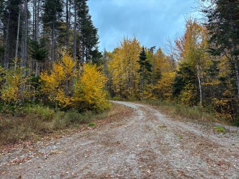 LOT#1 Sunrise Way Whiting ME 04691