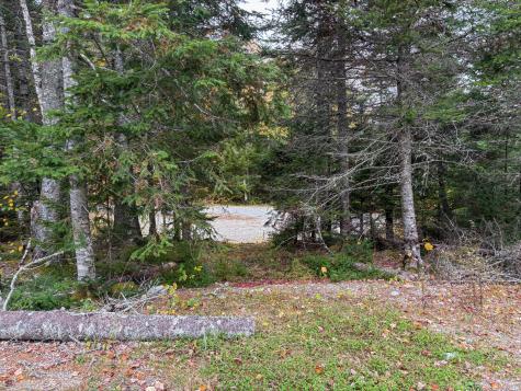 LOT#1 Sunrise Way Whiting ME 04691