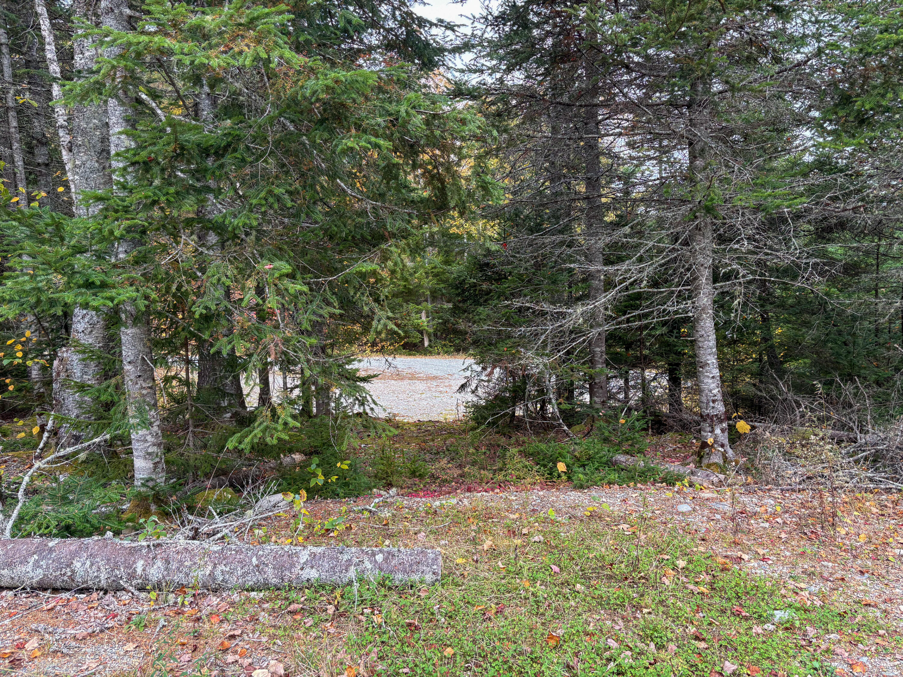 LOT#1 Sunrise Way Whiting ME 04691