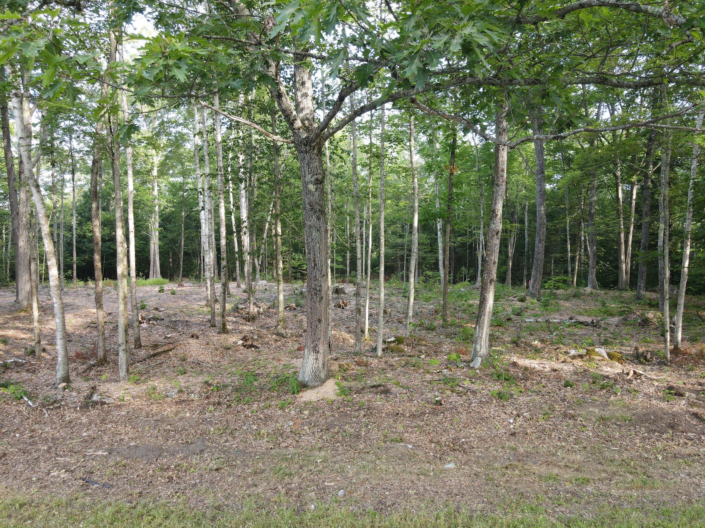 Lot 4 Oak Pond Road Skowhegan ME 04967