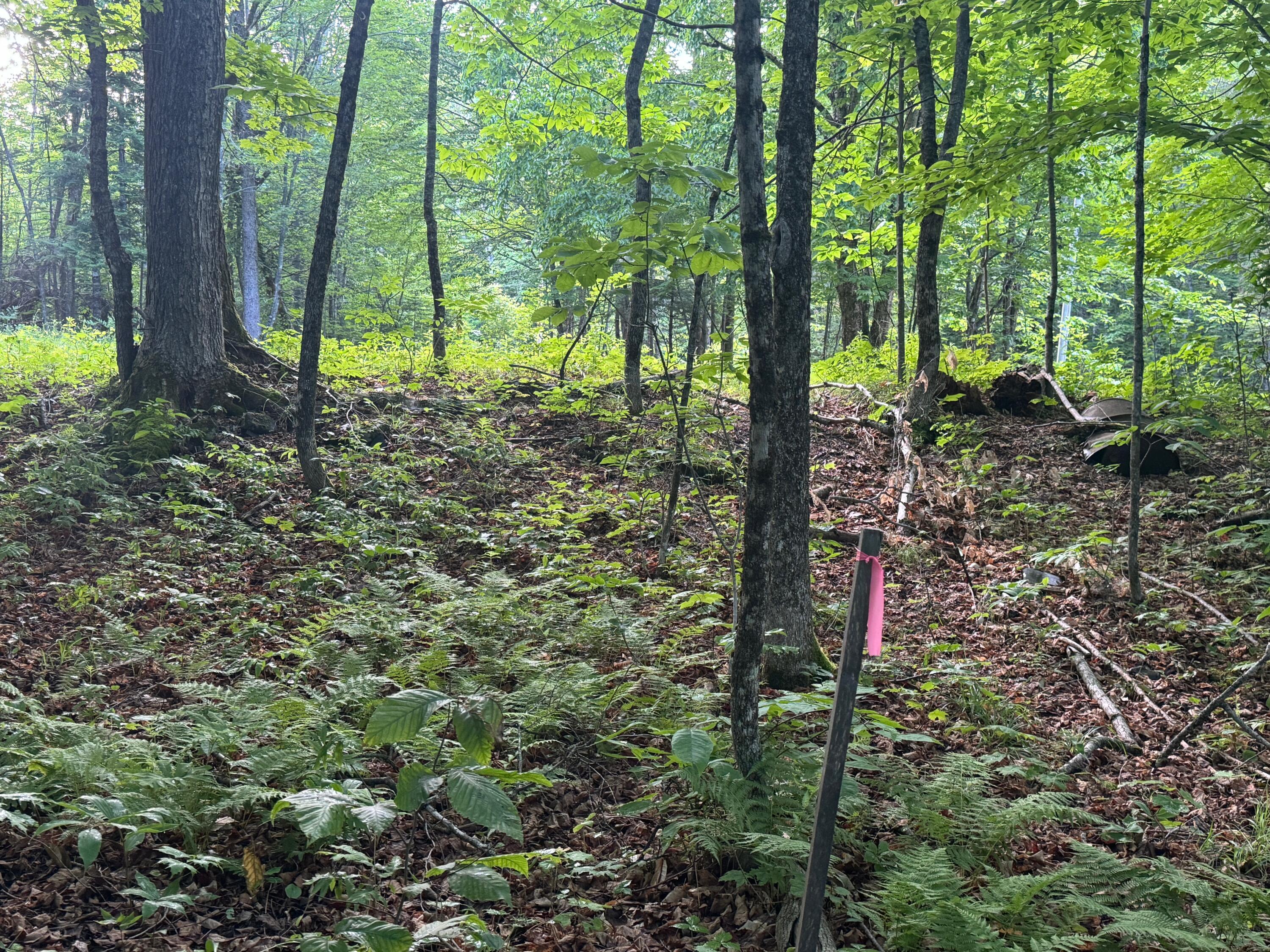 Lot 17 Quarry Avenue Brownville ME 04414