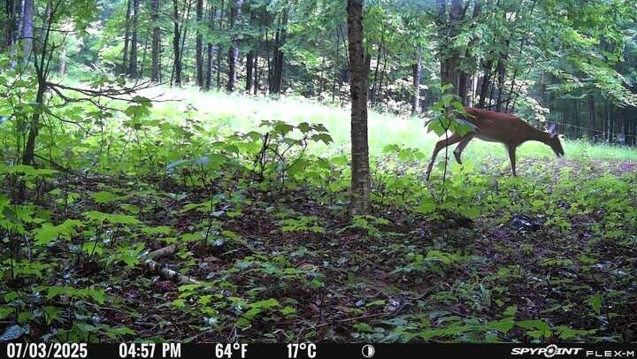 Lot 17 Quarry Avenue Brownville ME 04414