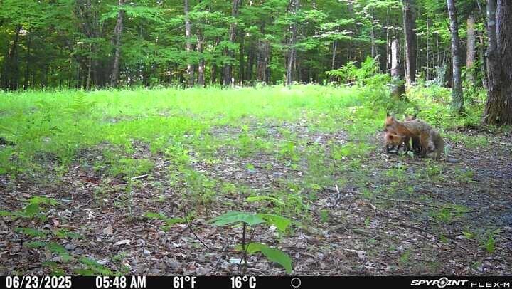 Lot 17 Quarry Avenue Brownville ME 04414