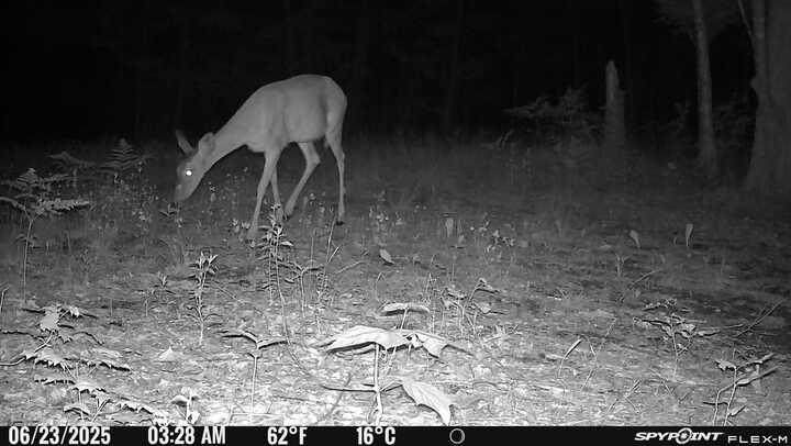 Lot 17 Quarry Avenue Brownville ME 04414