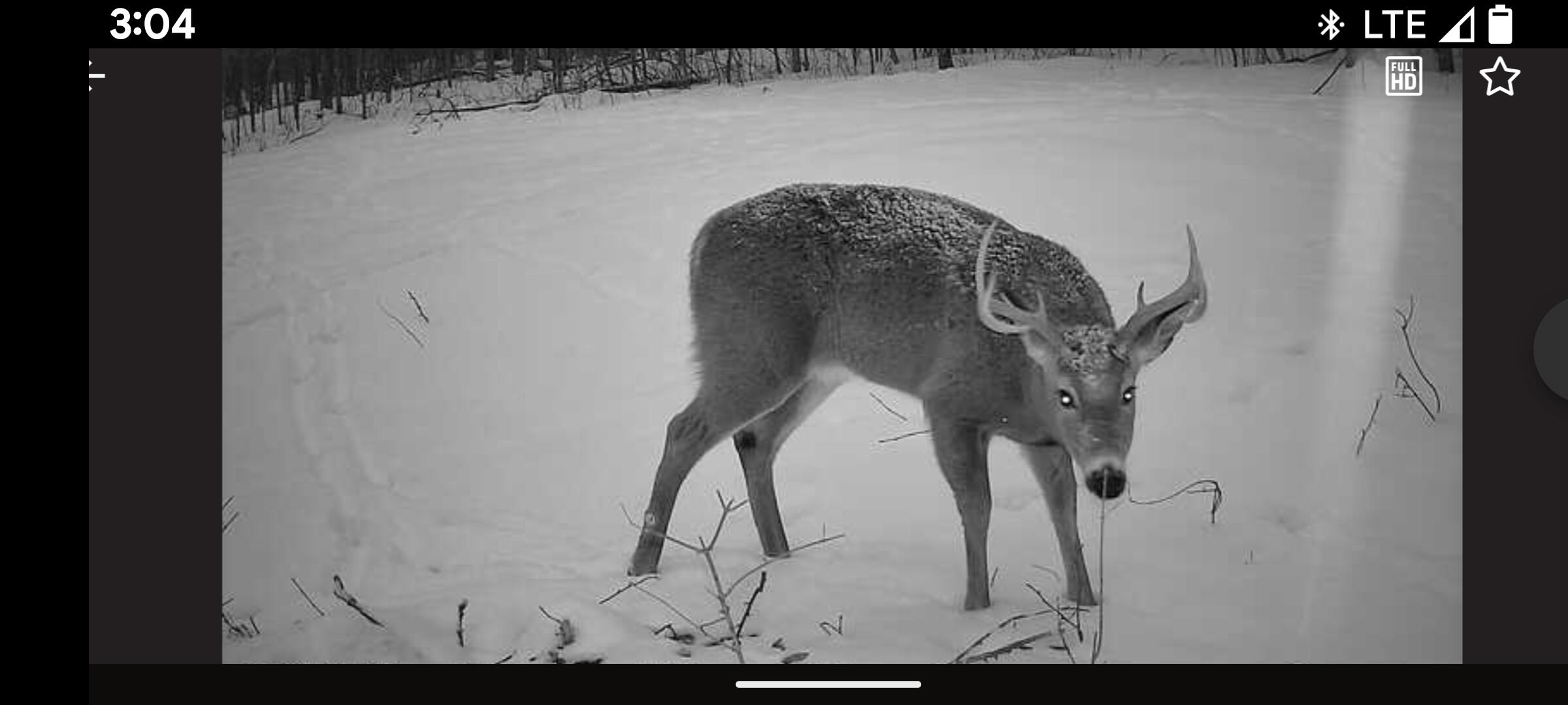 Lot 17 Quarry Avenue Brownville ME 04414