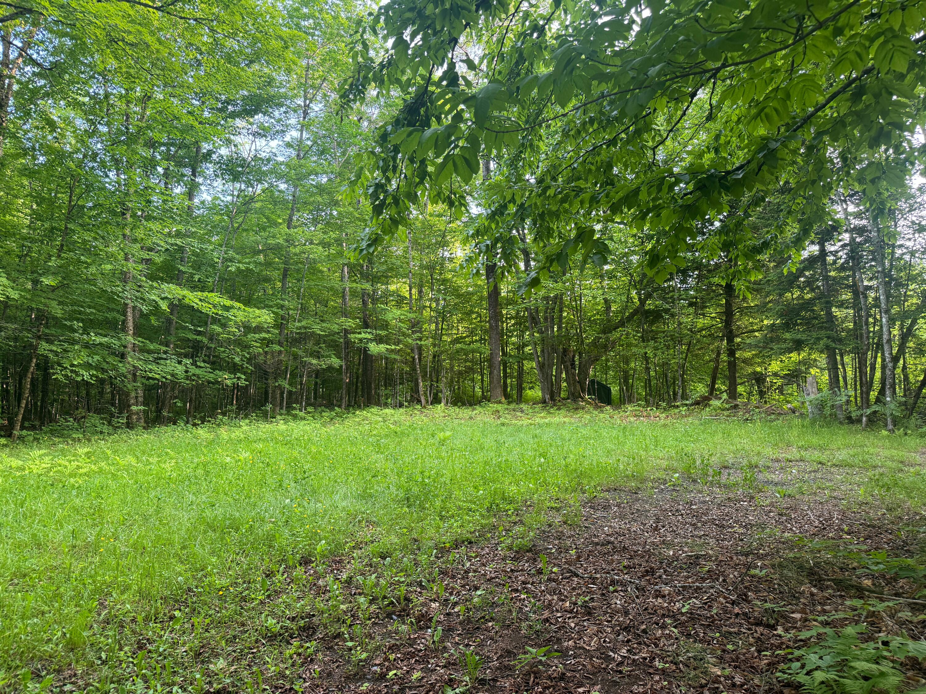 Lot 17 Quarry Avenue Brownville ME 04414