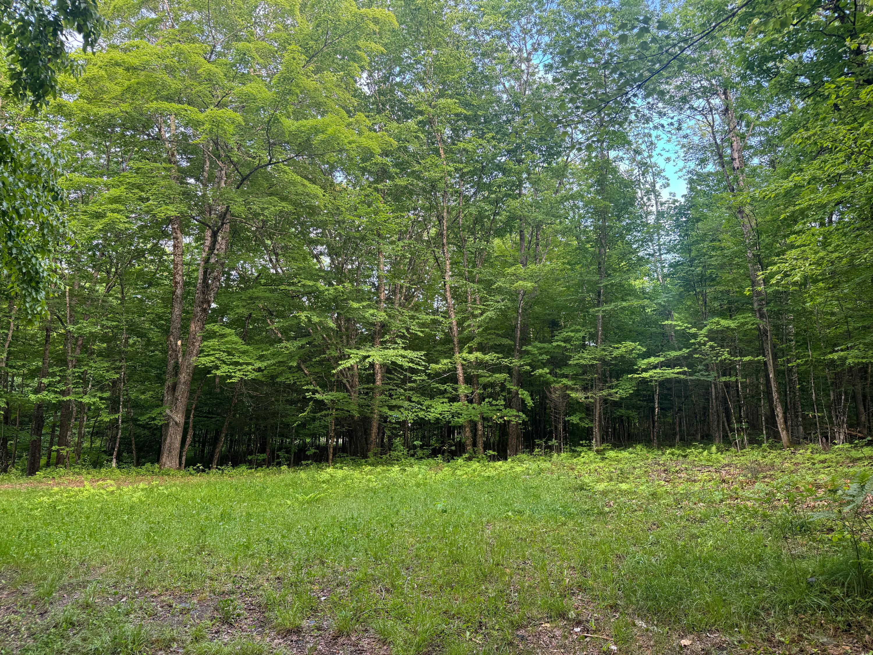 Lot 17 Quarry Avenue Brownville ME 04414