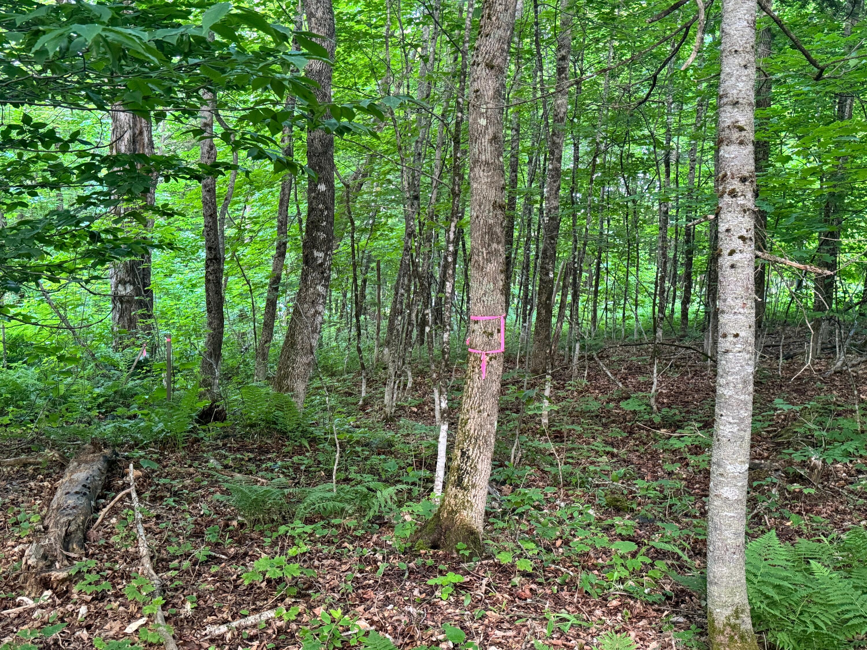 Lot 17 Quarry Avenue Brownville ME 04414