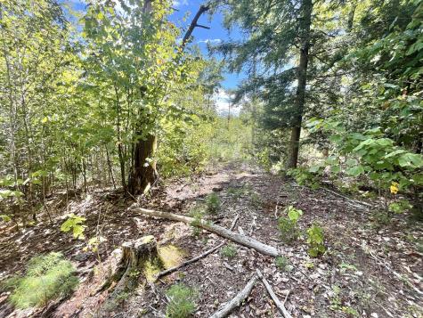 0 Bald Mountain Road Dedham ME 04429