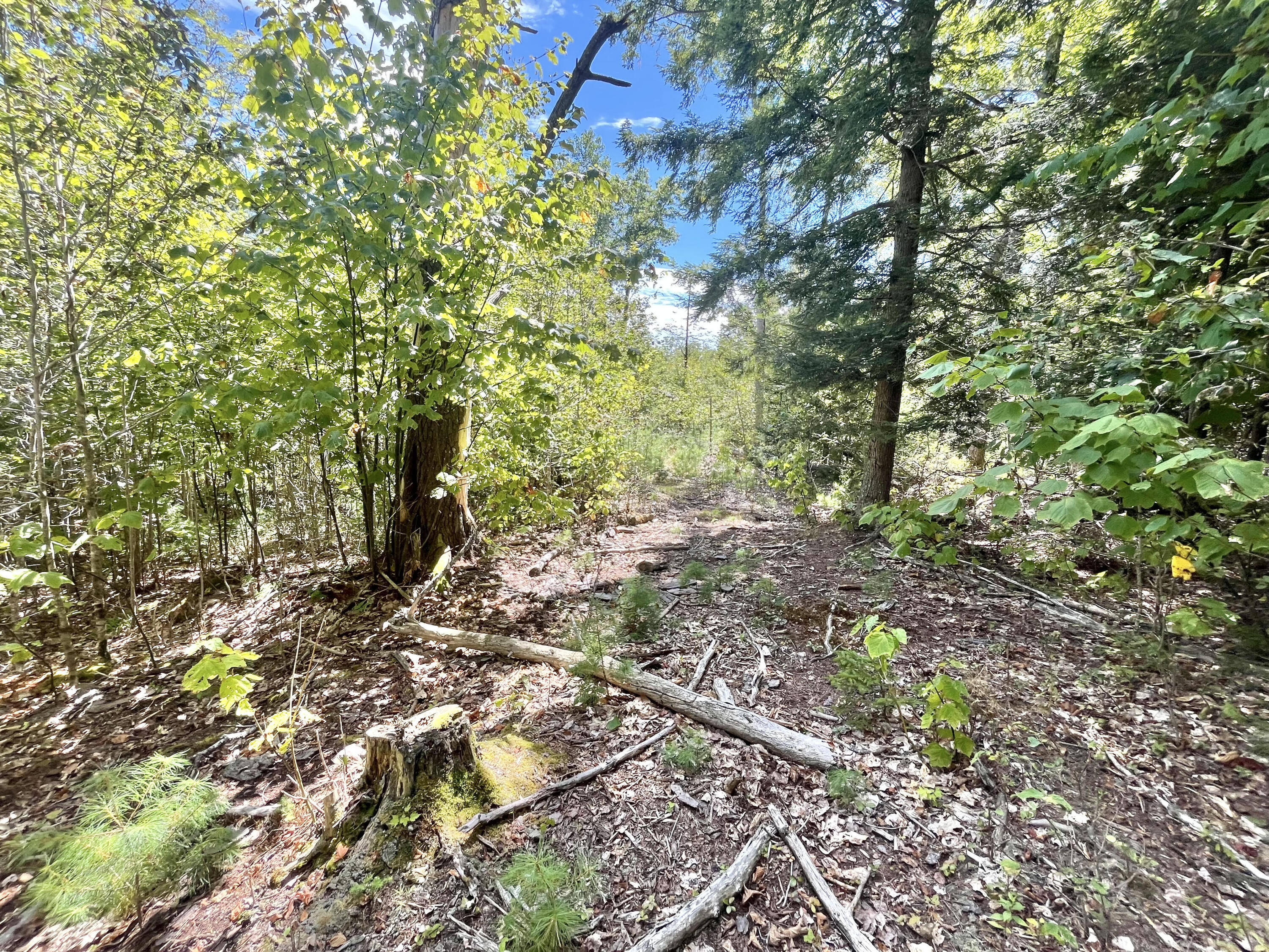 0 Bald Mountain Road Dedham ME 04429