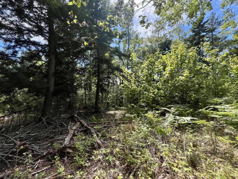 0 Bald Mountain Road Dedham ME 04429