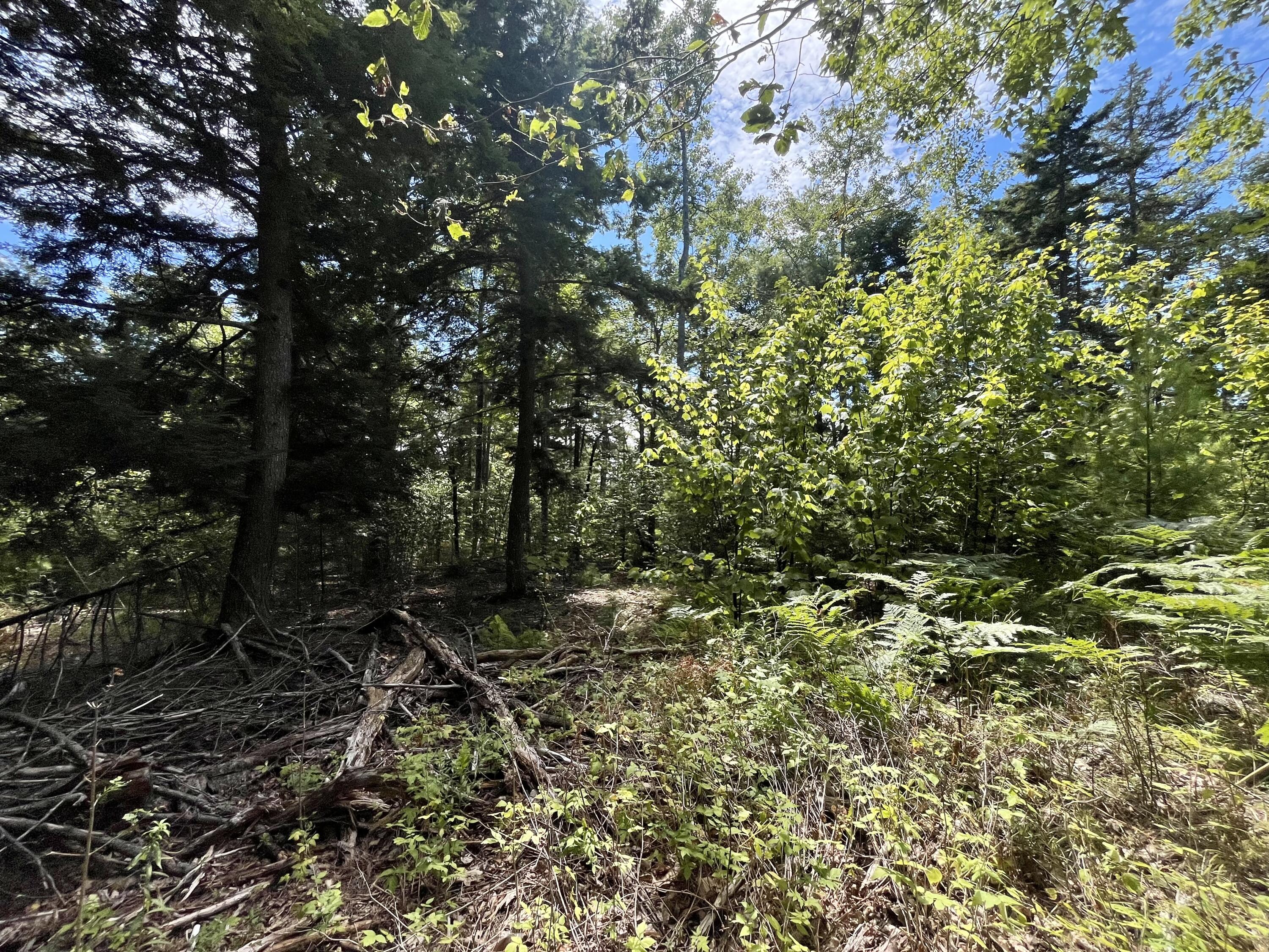 0 Bald Mountain Road Dedham ME 04429