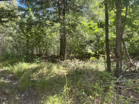0 Bald Mountain Road Dedham ME 04429