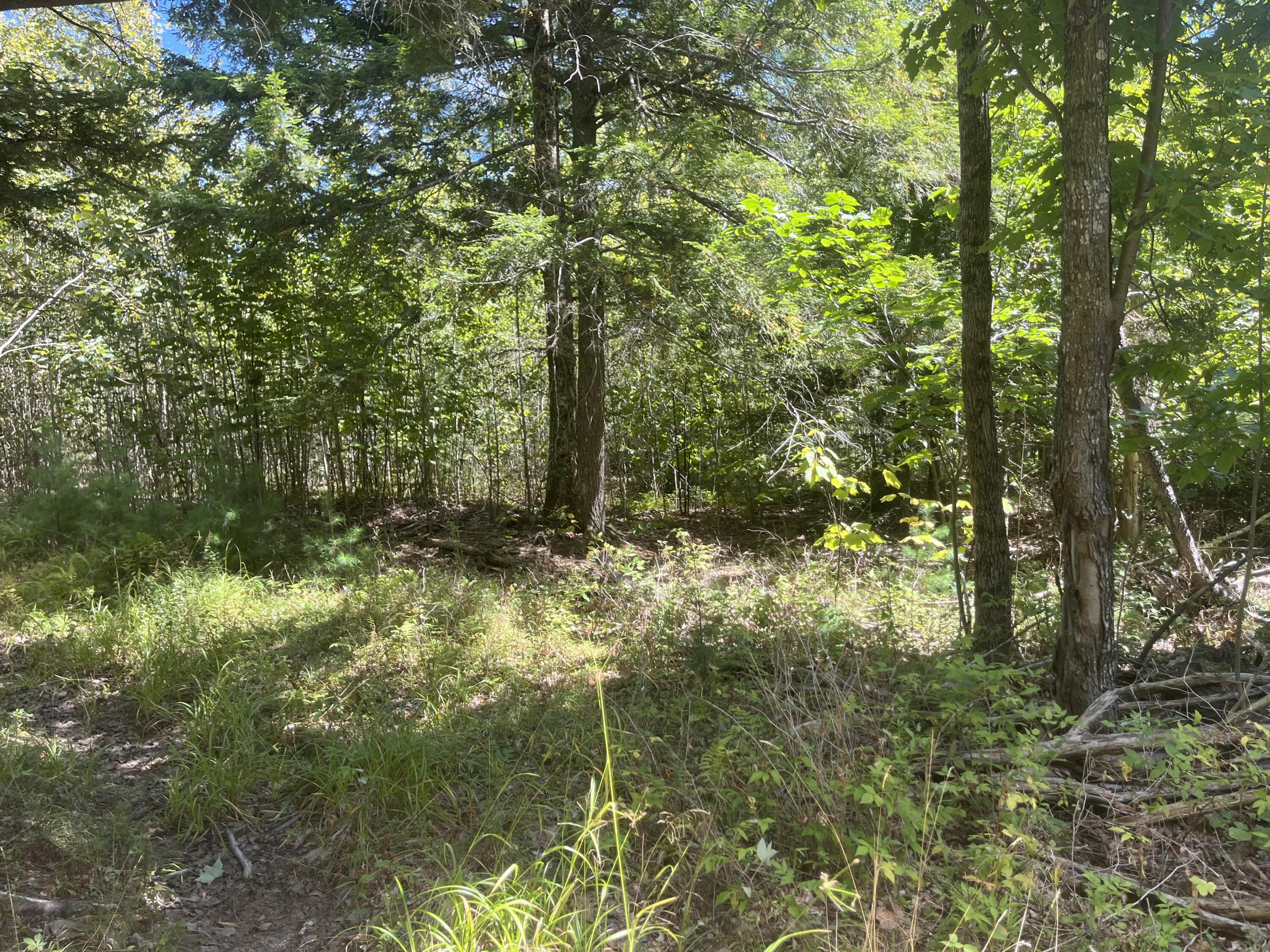 0 Bald Mountain Road Dedham ME 04429