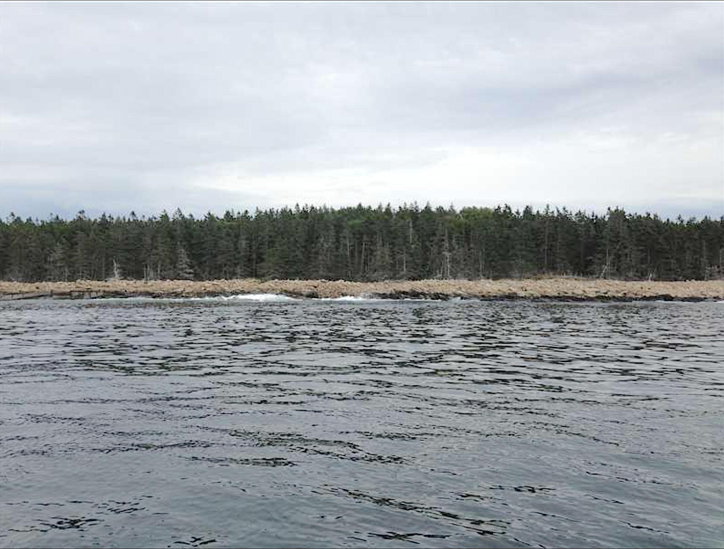 0 Butler Road Frenchboro ME 04635