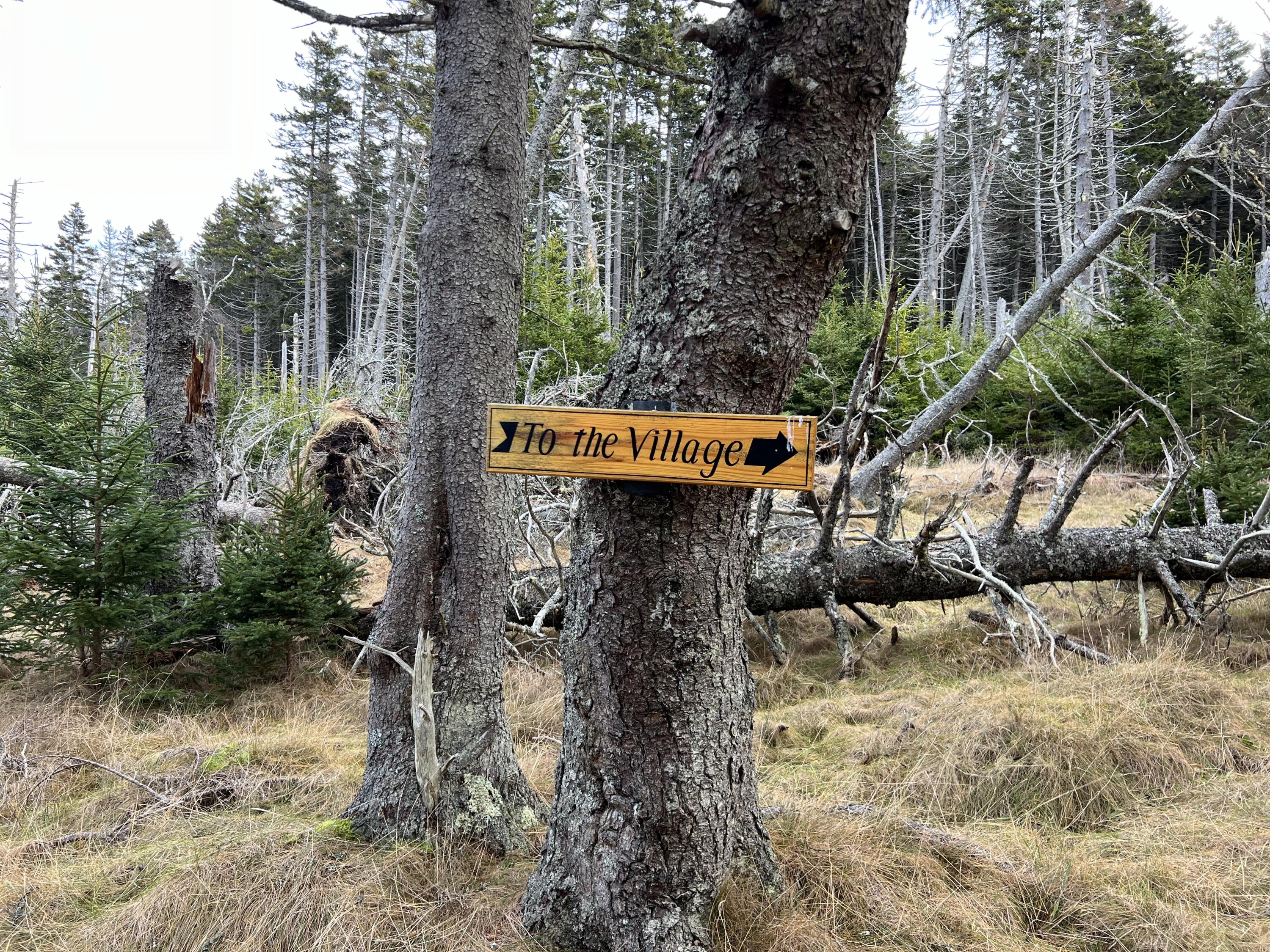 0 Butler Road Frenchboro ME 04635