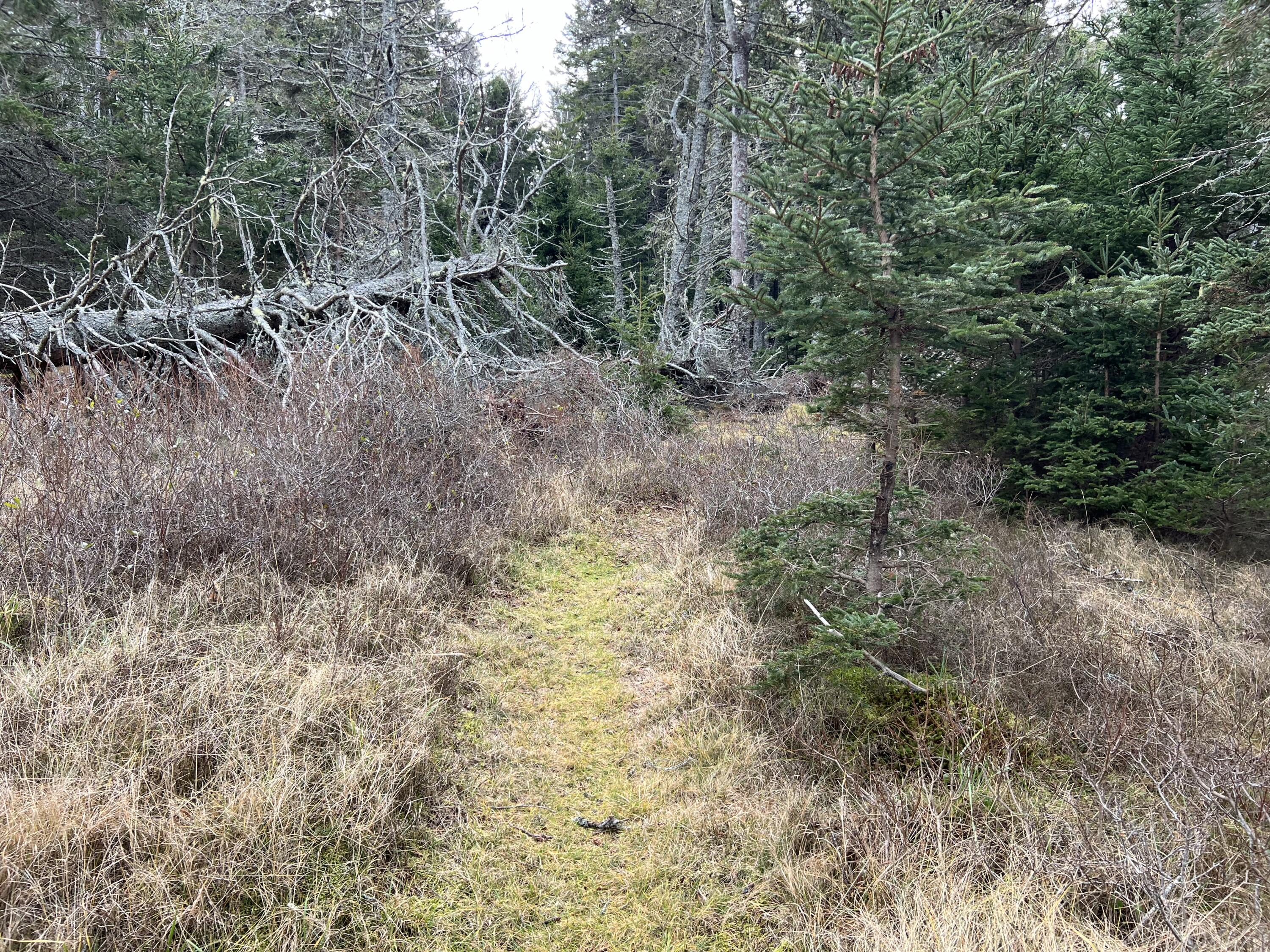 0 Butler Road Frenchboro ME 04635