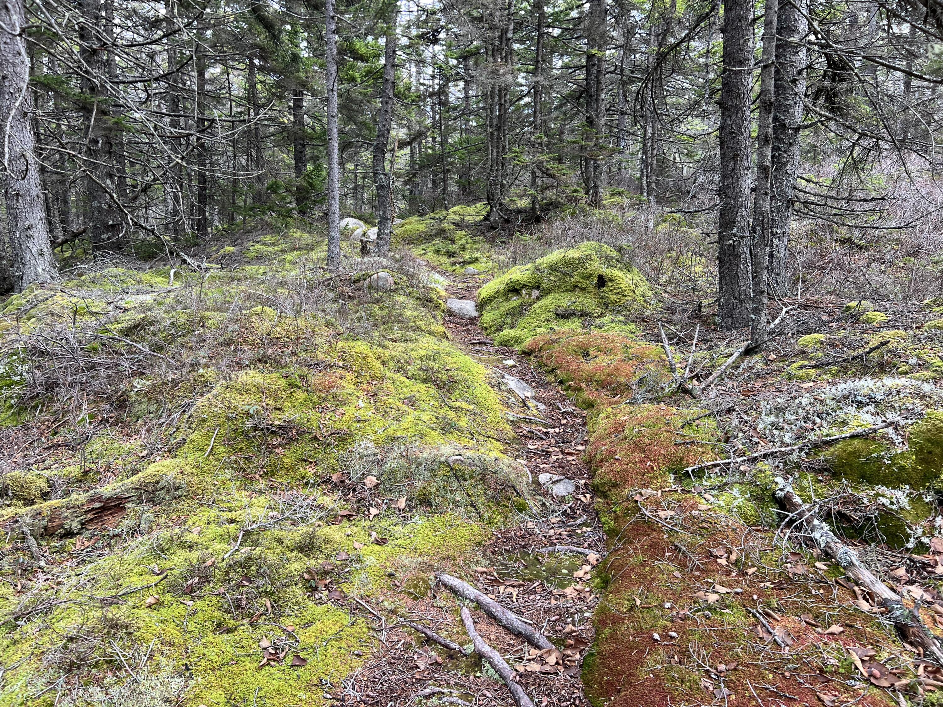 0 Butler Road Frenchboro ME 04635