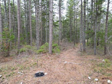 1323 Deer Haven Wesley ME 04686