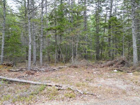 1323 Deer Haven Wesley ME 04686