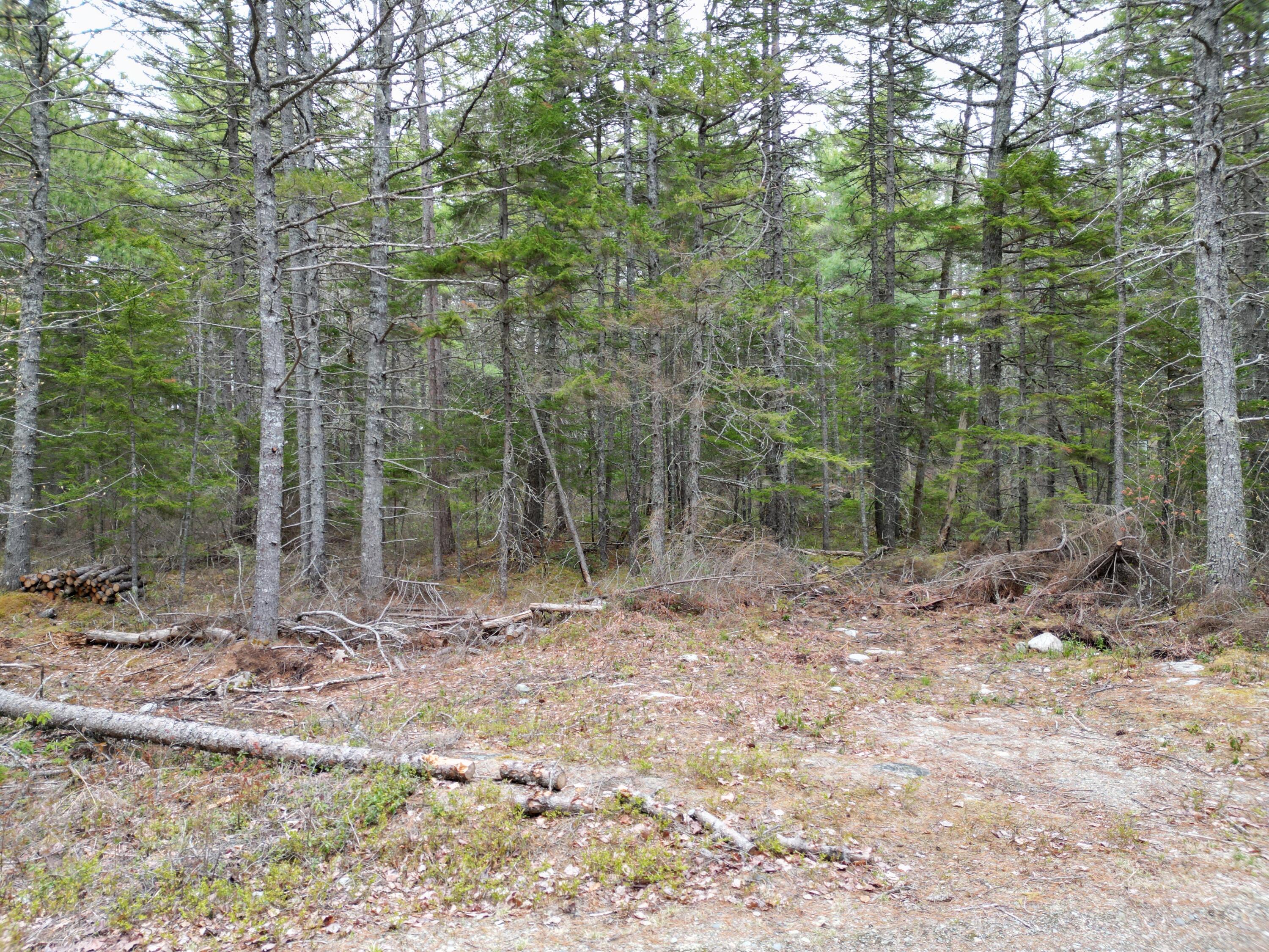 1323 Deer Haven Wesley ME 04686