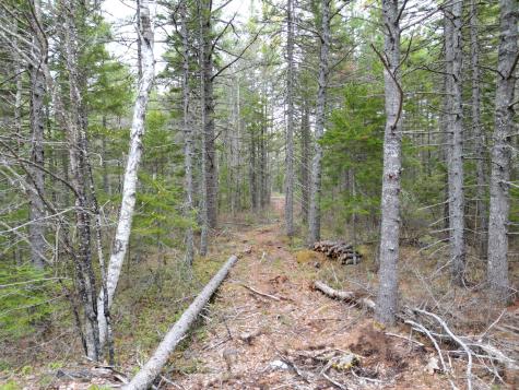 1323 Deer Haven Wesley ME 04686