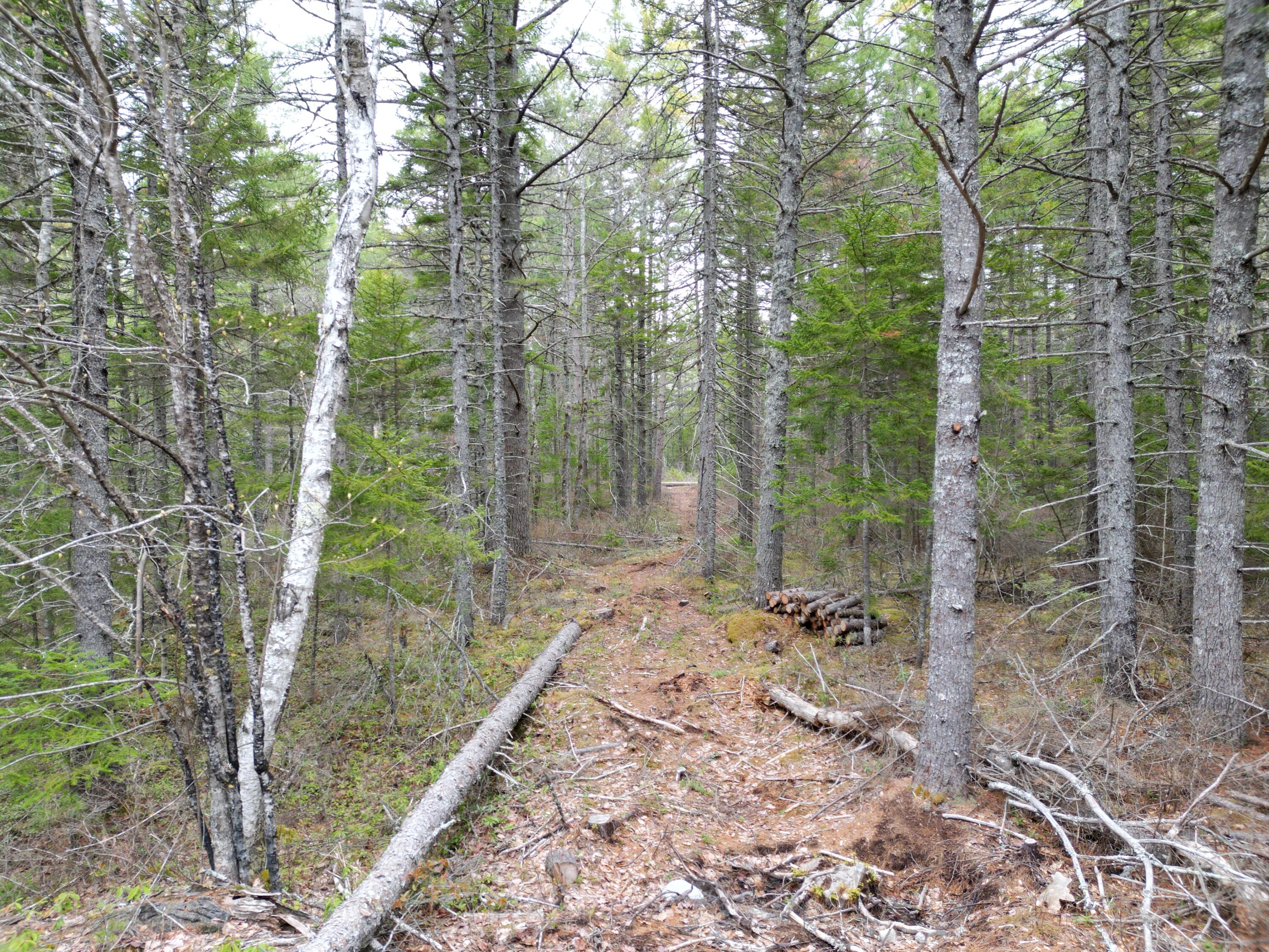 1323 Deer Haven Wesley ME 04686