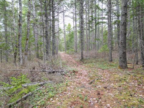 1323 Deer Haven Wesley ME 04686