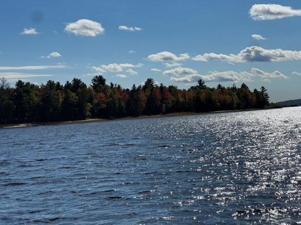 M4, L6 Hardwood Hill Island Mariaville ME 04605