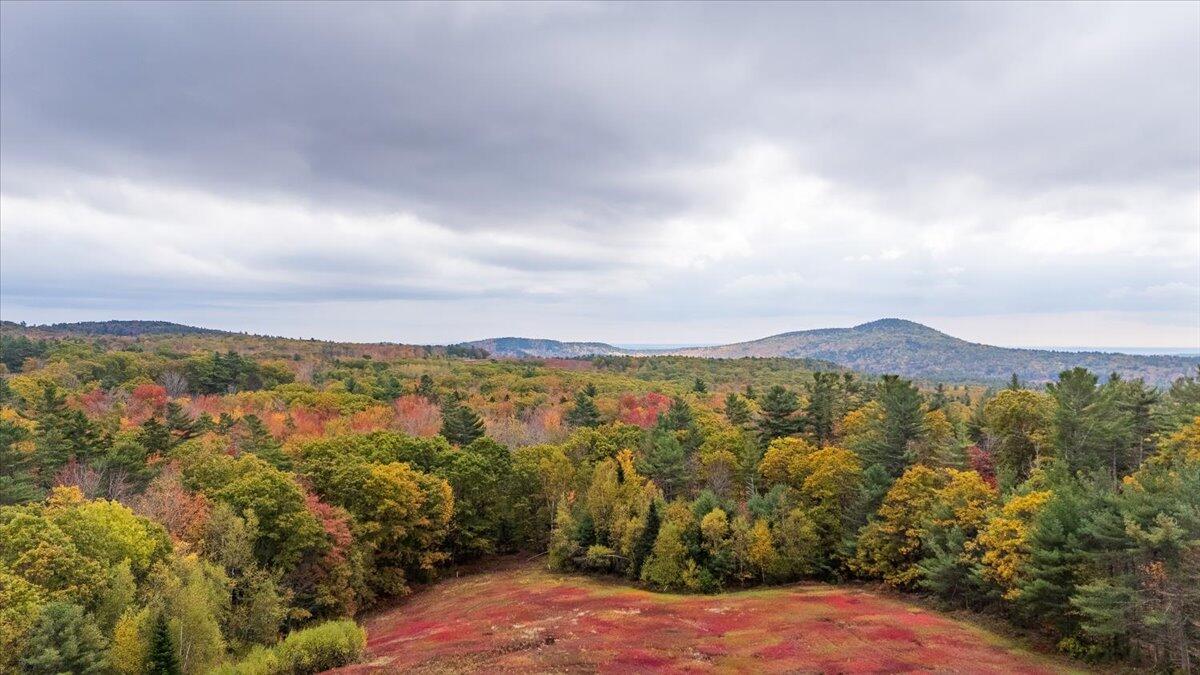 554 Beech Hill Road Northport ME 04849