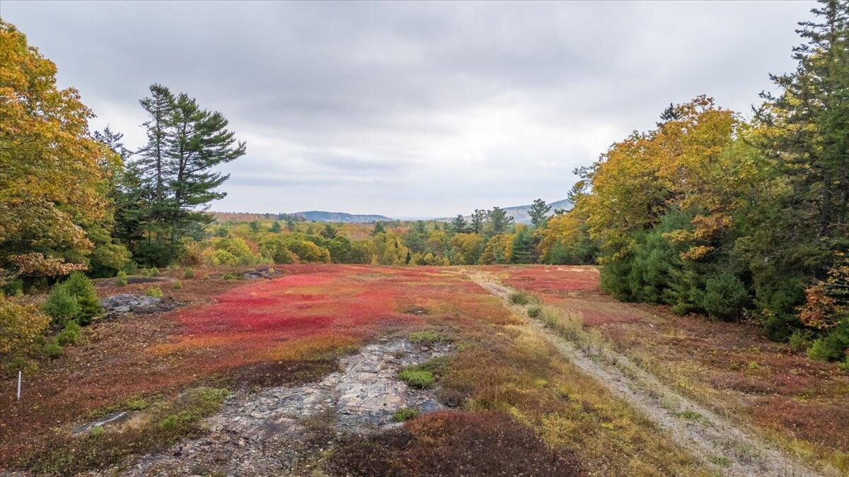 554 Beech Hill Road Northport ME 04849