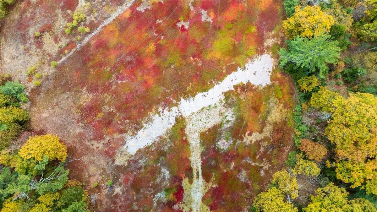 554 Beech Hill Road Northport ME 04849