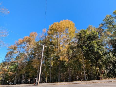 225 Waldo Avenue Belfast ME 04915