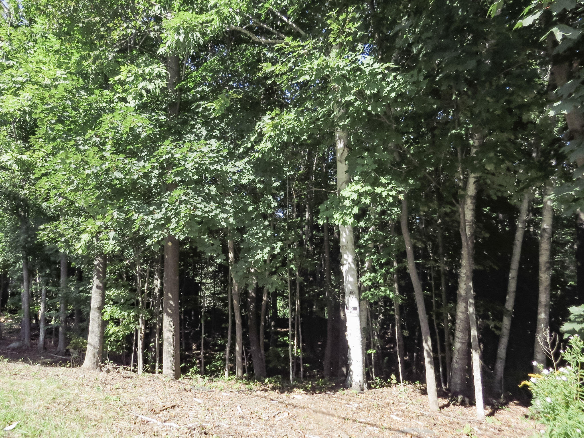 225 Waldo Avenue Belfast ME 04915