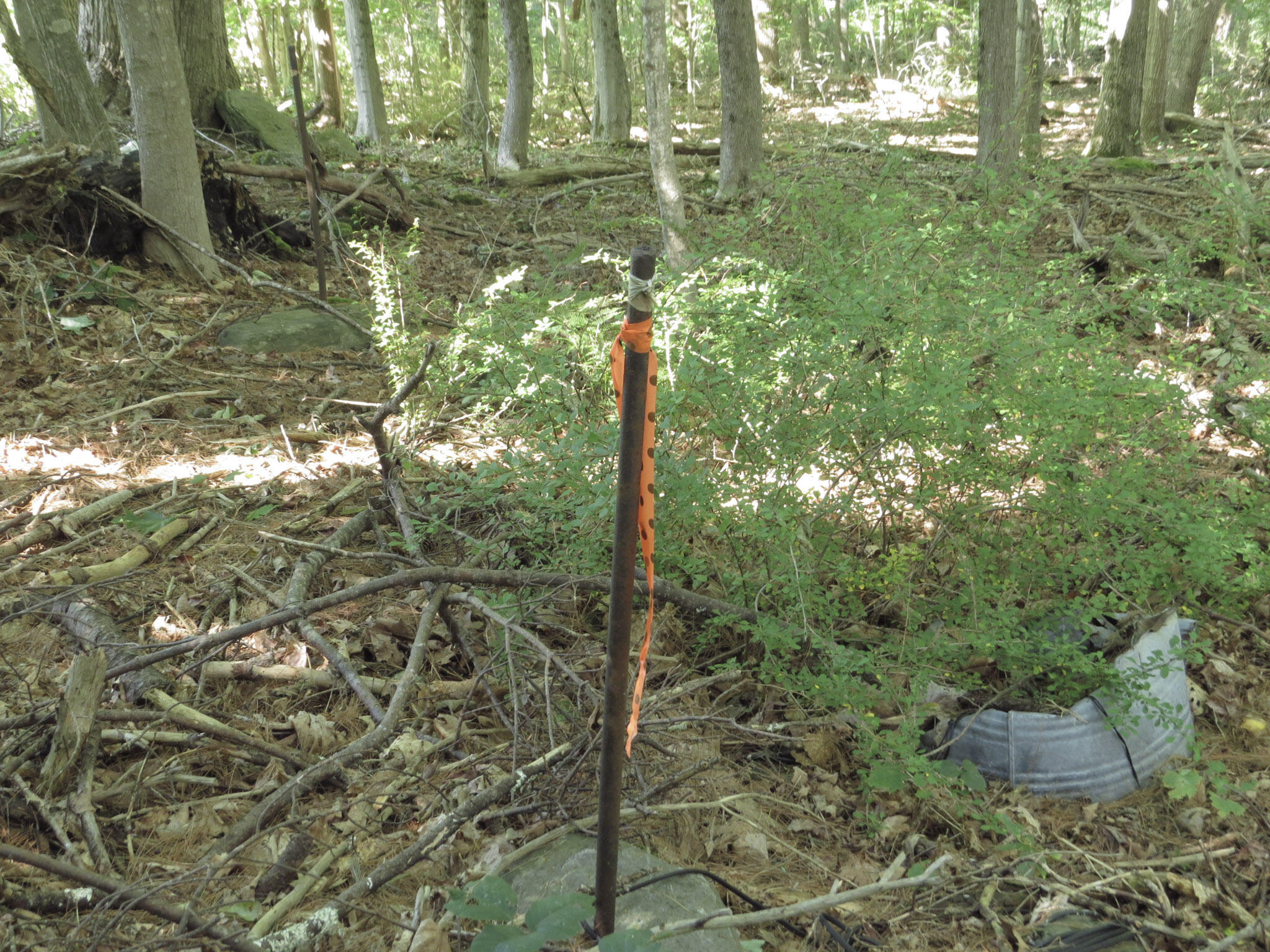 225 Waldo Avenue Belfast ME 04915