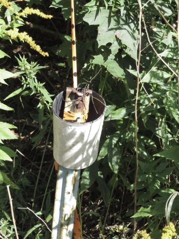 225 Waldo Avenue Belfast ME 04915