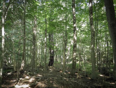 225 Waldo Avenue Belfast ME 04915