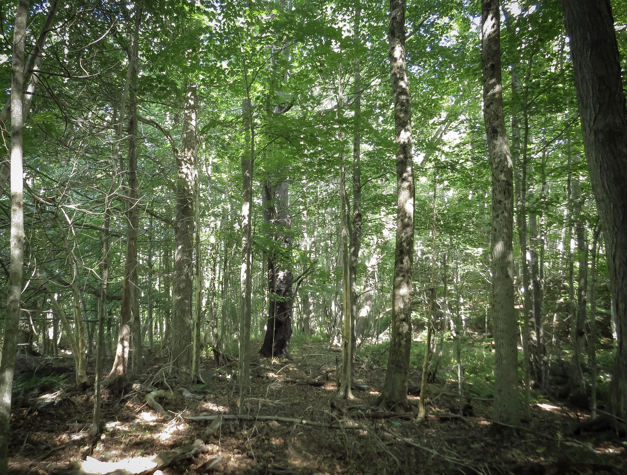 225 Waldo Avenue Belfast ME 04915