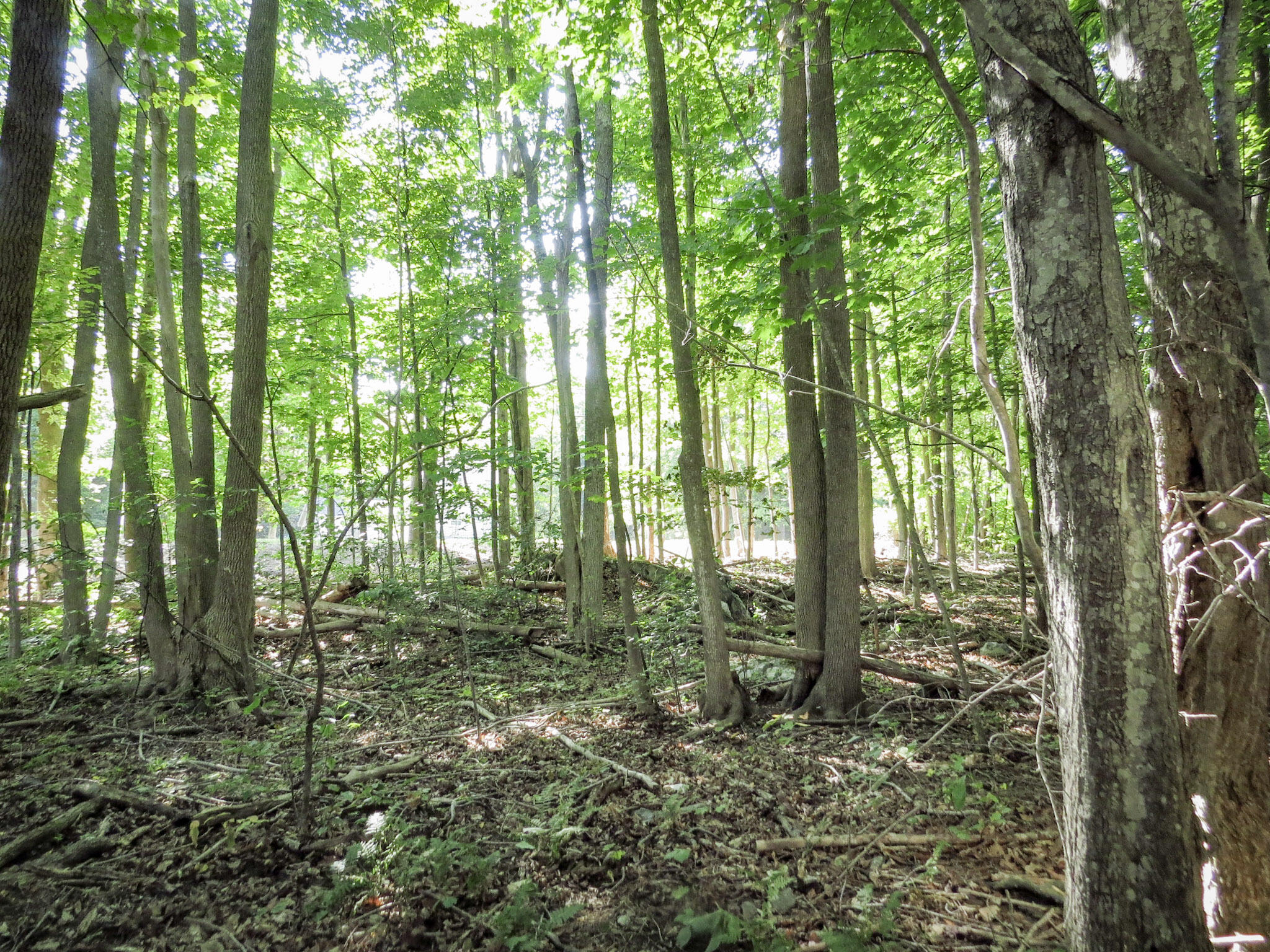 225 Waldo Avenue Belfast ME 04915