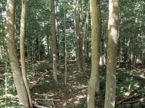 225 Waldo Avenue Belfast ME 04915