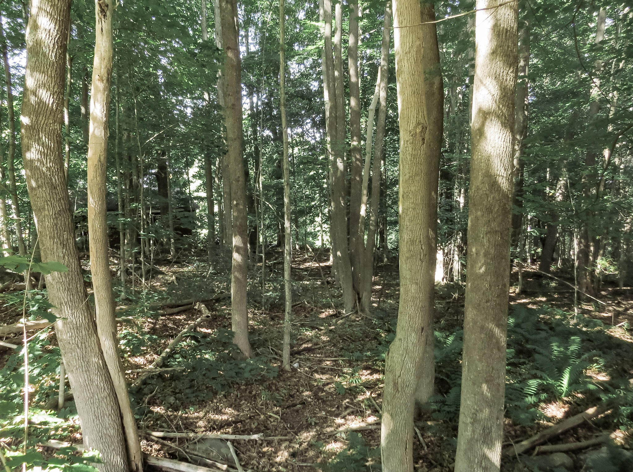 225 Waldo Avenue Belfast ME 04915