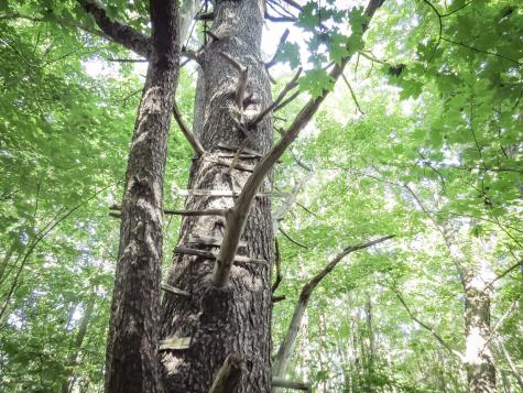 225 Waldo Avenue Belfast ME 04915