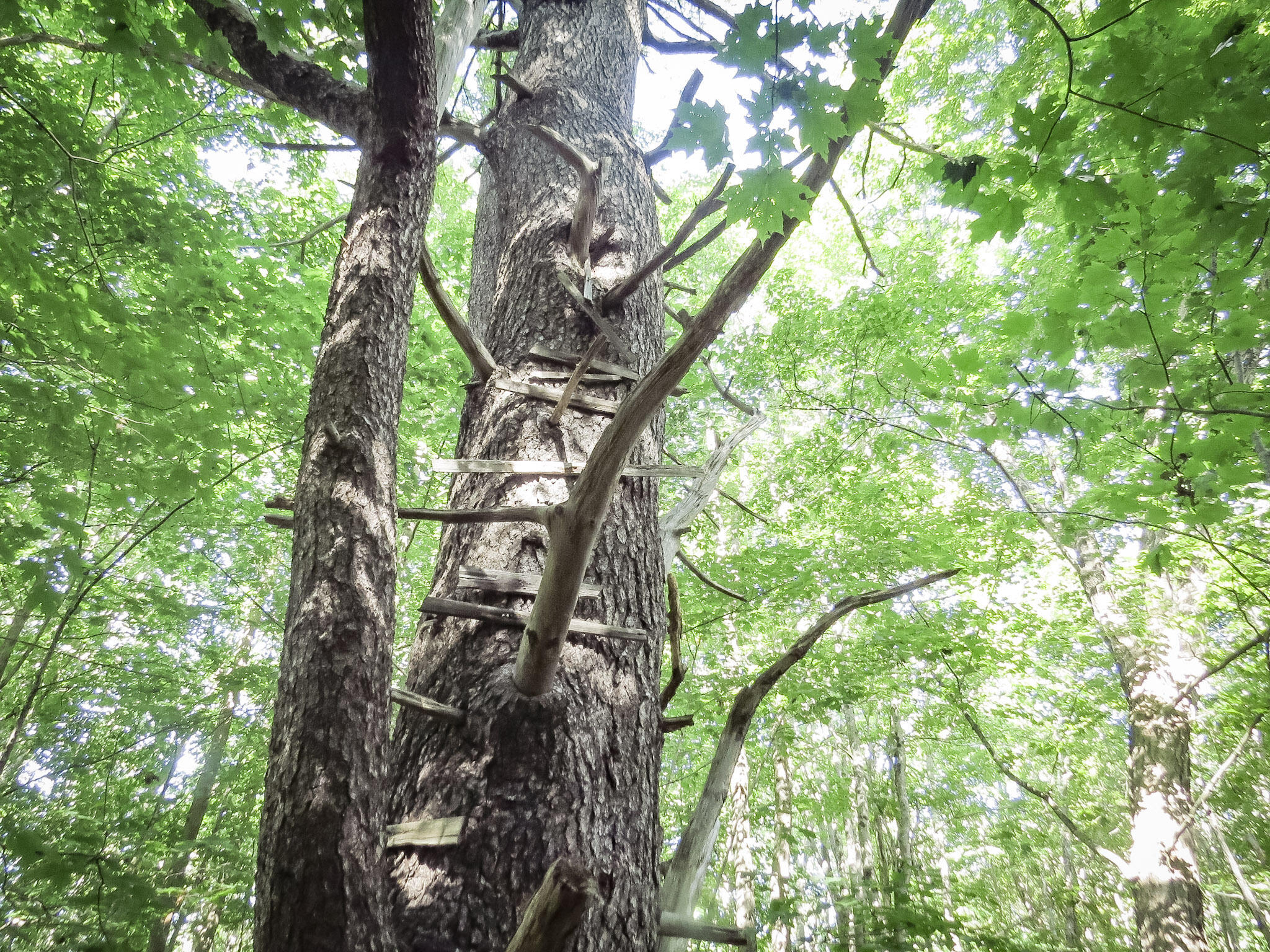 225 Waldo Avenue Belfast ME 04915