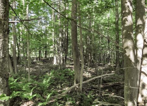 225 Waldo Avenue Belfast ME 04915