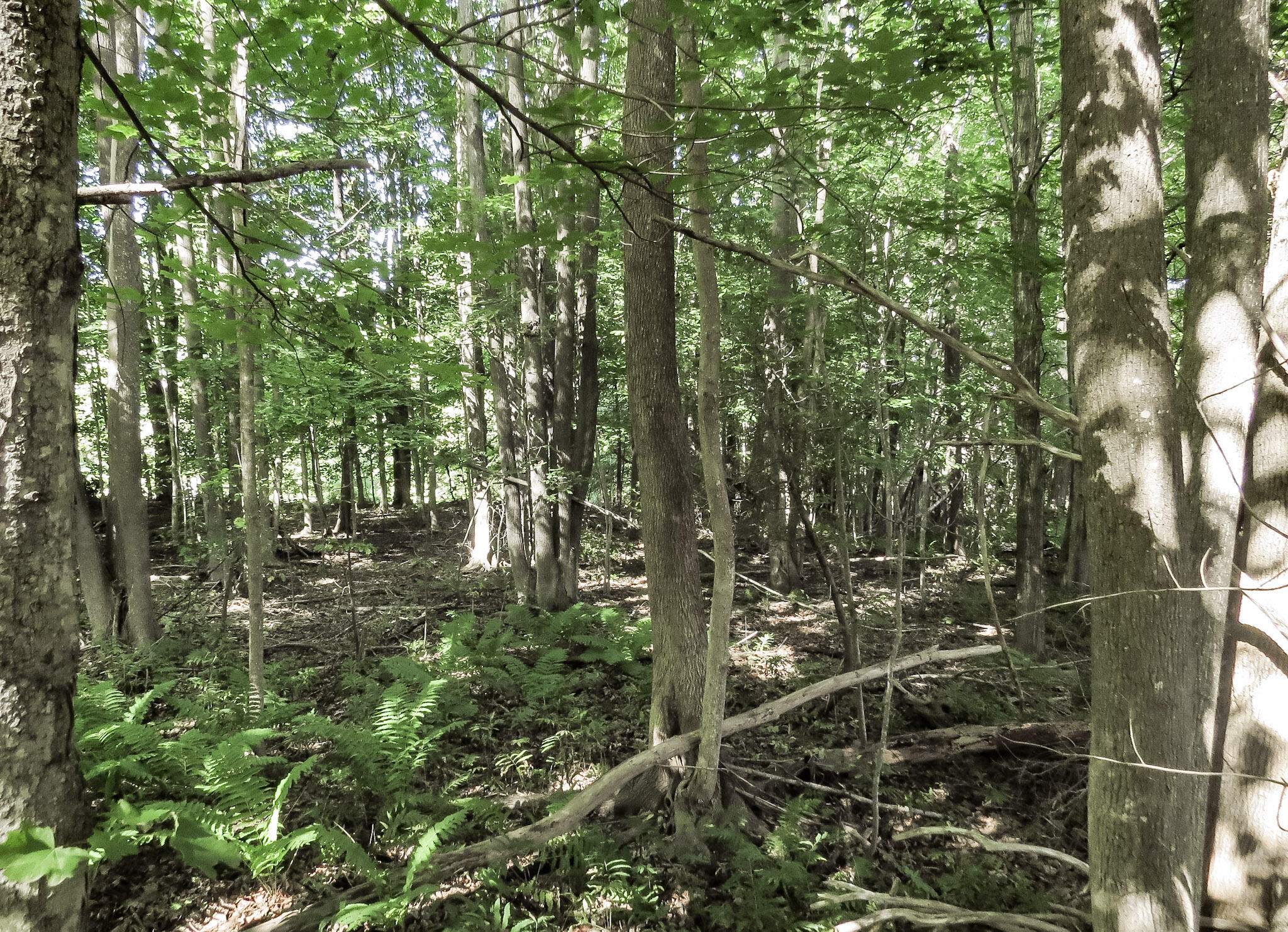 225 Waldo Avenue Belfast ME 04915