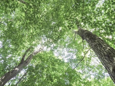 225 Waldo Avenue Belfast ME 04915