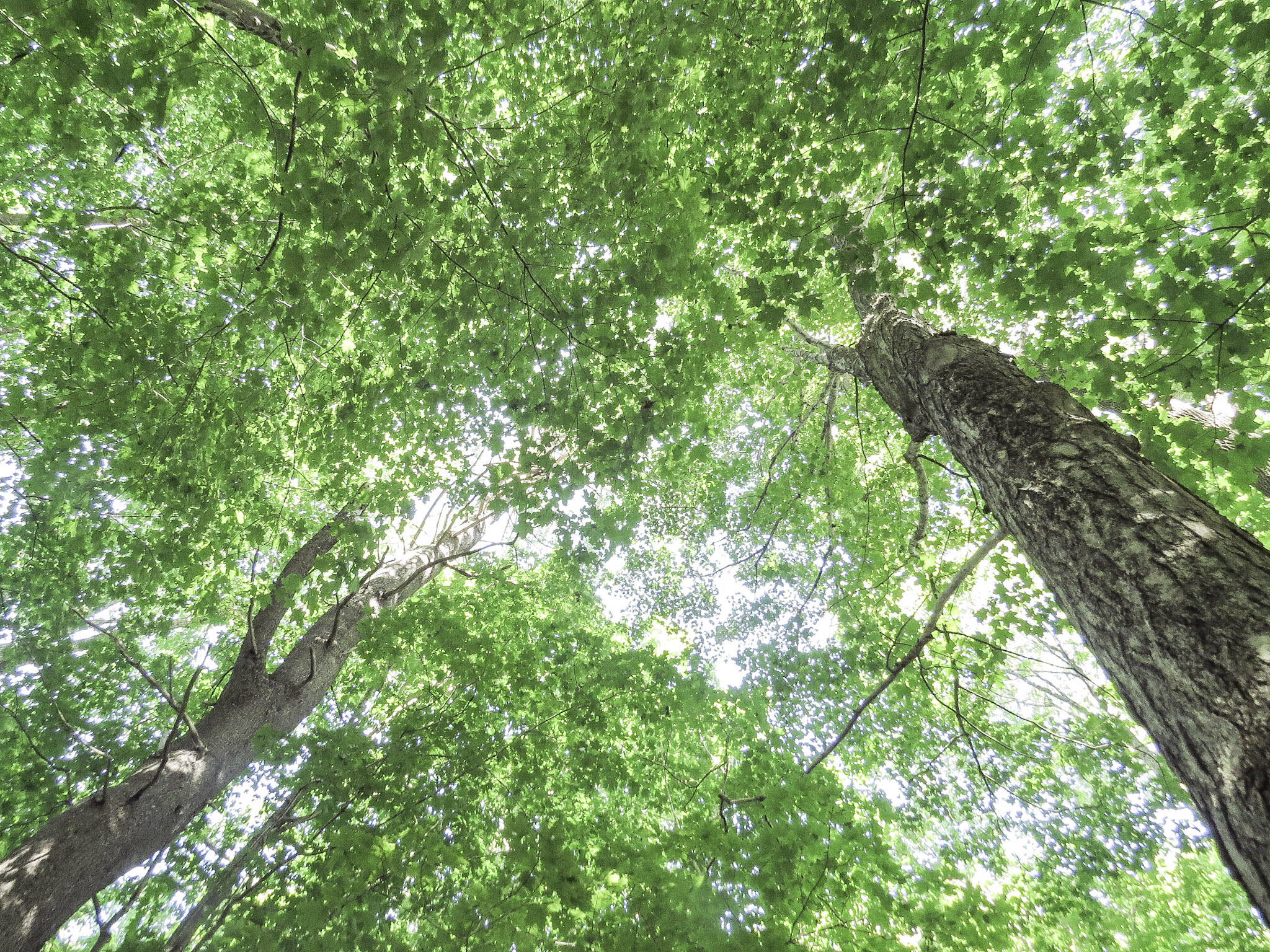 225 Waldo Avenue Belfast ME 04915