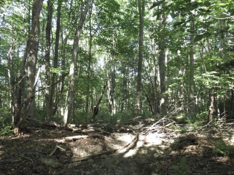 225 Waldo Avenue Belfast ME 04915