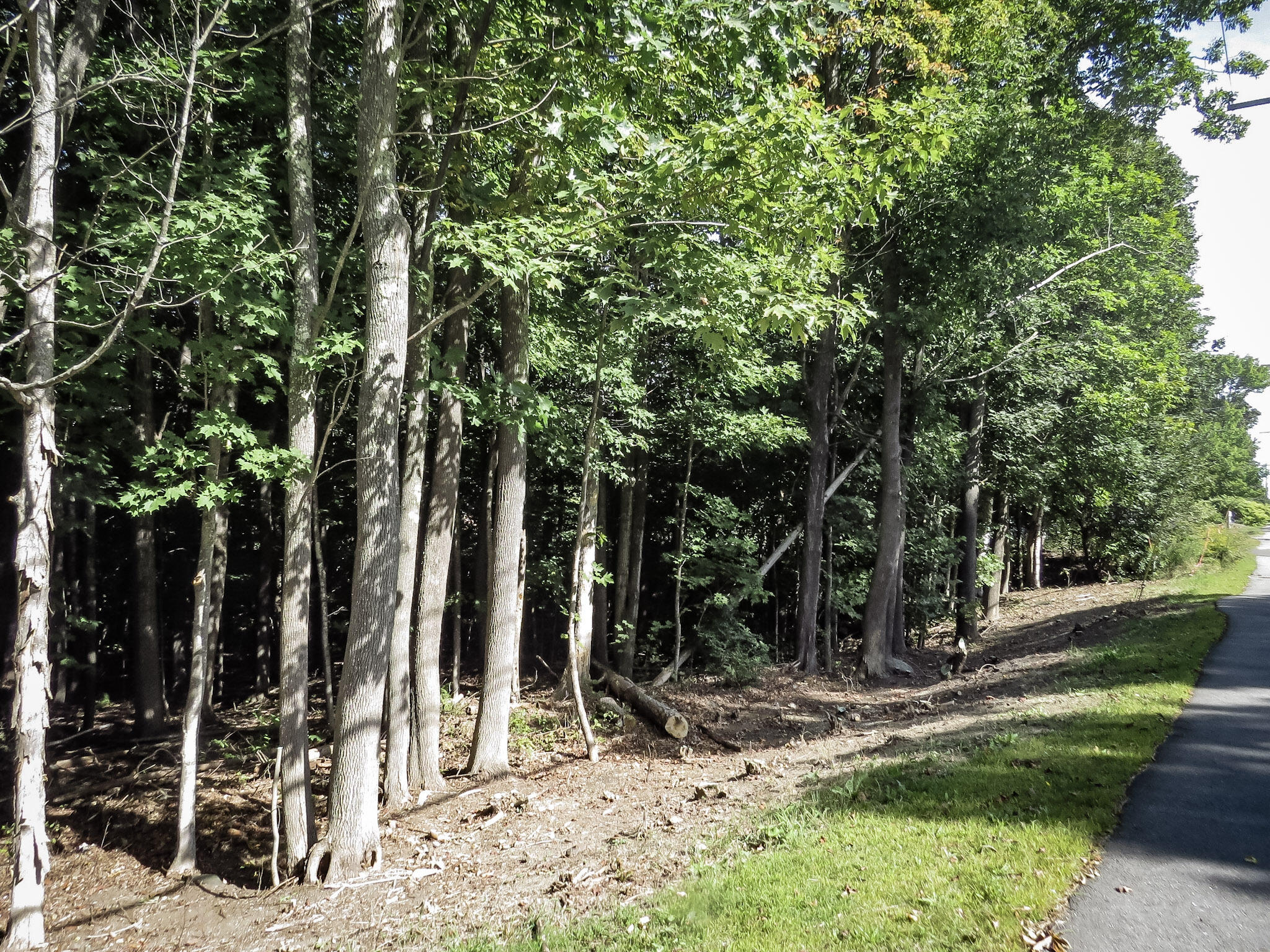 225 Waldo Avenue Belfast ME 04915